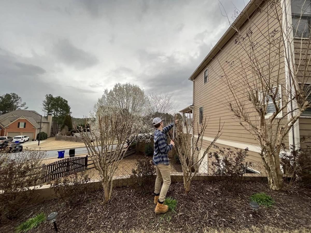 Tree & Brush Removal work by Southern Skies Outdoor Services in Dallas, GA