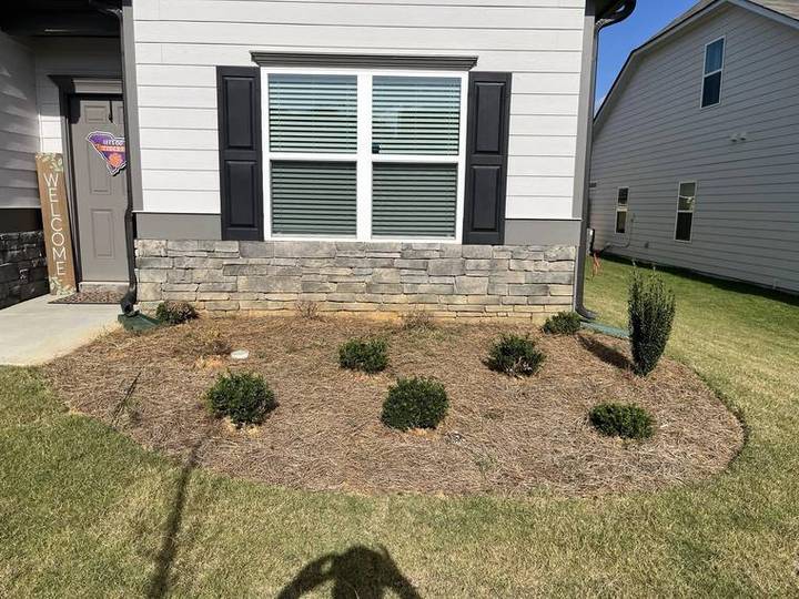 Before: Front foundation beds