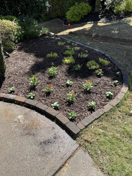 Landscaping & Design in Dallas, GA