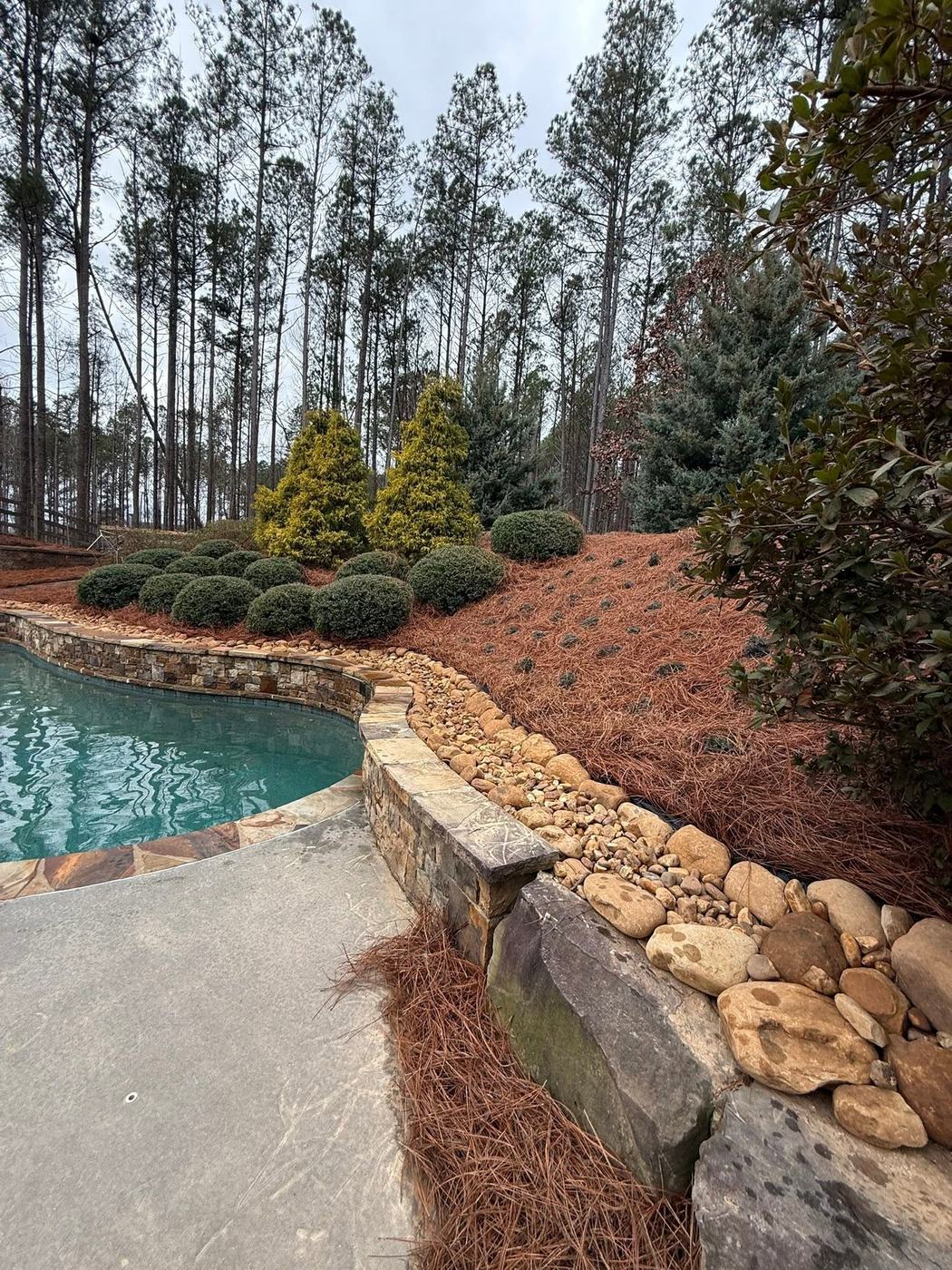 Boulder retaining wall and fresh pine straw beds around a backyard pool